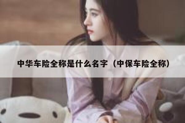 中华车险全称是什么名字（中保车险全称） 第1张
