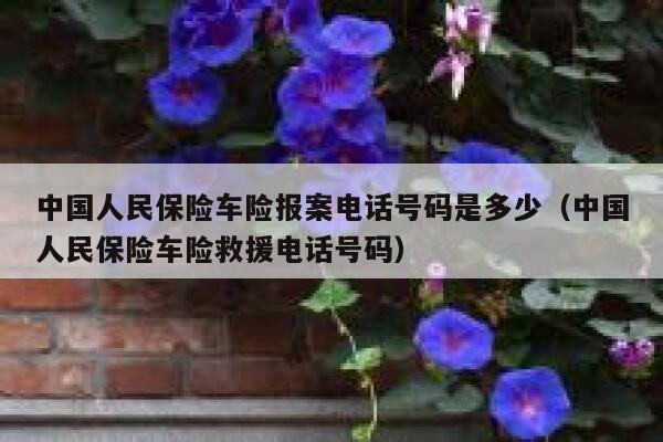 中国人民保险车险报案电话号码是多少(中国人民保险车险救援电话号码) 第1张 中国人民保险车险报案电话号码是多少(中国人民保险车险救援电话号码) 第1张