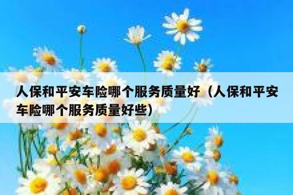 人保和平安车险哪个服务质量好（人保和平安车险哪个服务质量好些） 第1张