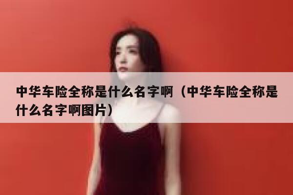 中华车险全称是什么名字啊(中华车险全称是什么名字啊图片) 第1张 中华车险全称是什么名字啊(中华车险全称是什么名字啊图片) 第1张
