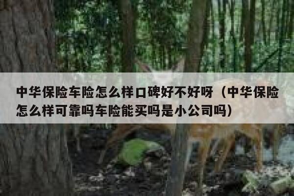 中华保险车险怎么样口碑好不好呀（中华保险怎么样可靠吗车险能买吗是小公司吗） 第1张