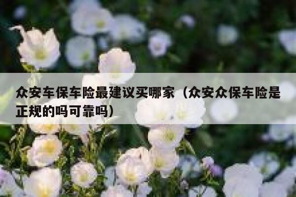 众安车保车险最建议买哪家（众安众保车险是正规的吗可靠吗） 第1张