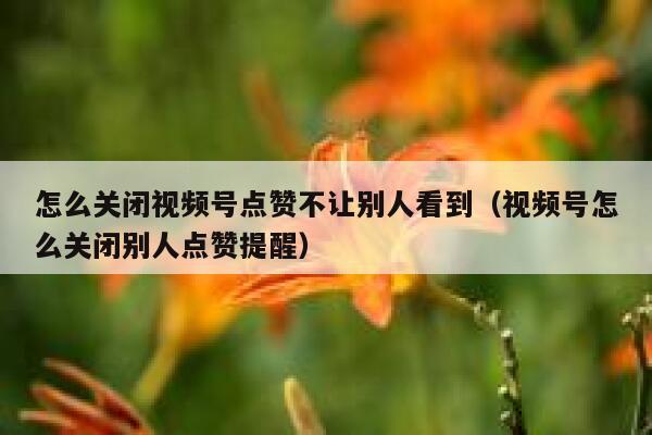 怎么关闭视频号点赞不让别人看到（视频号怎么关闭别人点赞提醒） 第1张