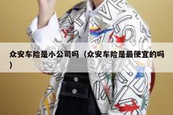 众安车险是小公司吗(众安车险是最便宜的吗) 第1张 众安车险是小公司吗(众安车险是最便宜的吗) 第1张