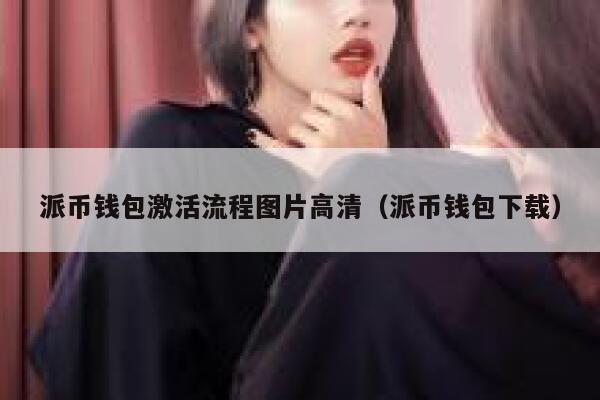 派币钱包激活流程图片高清（派币钱包下载） 第1张