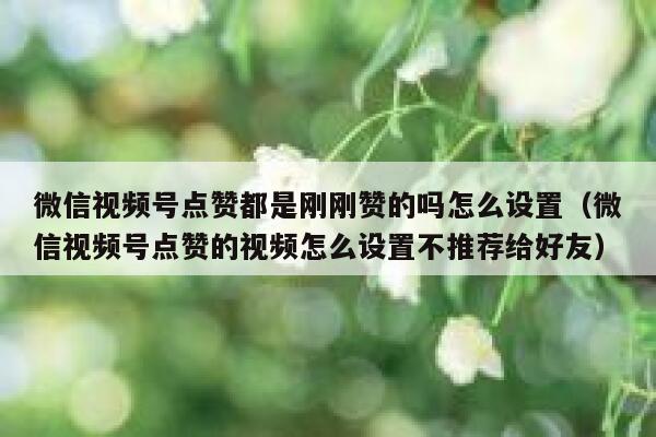 微信视频号点赞都是刚刚赞的吗怎么设置（微信视频号点赞的视频怎么设置不推荐给好友） 第1张