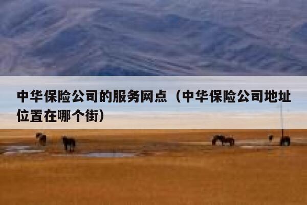 中华保险公司的服务网点(中华保险公司地址位置在哪个街) 第1张 中华保险公司的服务网点(中华保险公司地址位置在哪个街) 第1张