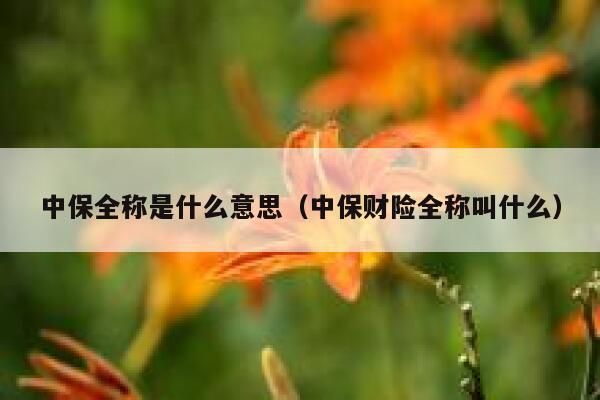 中保全称是什么意思（中保财险全称叫什么） 第1张