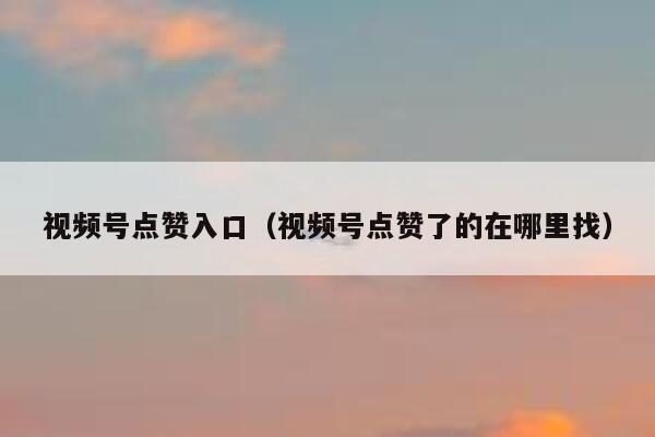 视频号点赞入口（视频号点赞了的在哪里找） 第1张