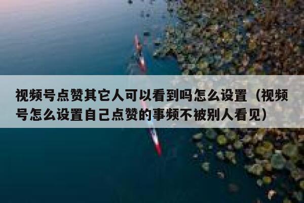 视频号点赞其它人可以看到吗怎么设置（视频号怎么设置自己点赞的事频不被别人看见） 第1张