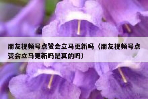 朋友视频号点赞会立马更新吗（朋友视频号点赞会立马更新吗是真的吗） 第1张