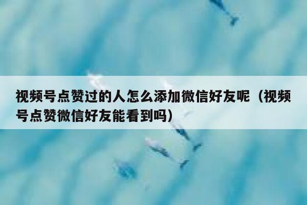视频号点赞过的人怎么添加微信好友呢(视频号点赞微信好友能看到吗) 第1张 视频号点赞过的人怎么添加微信好友呢(视频号点赞微信好友能看到吗) 第1张