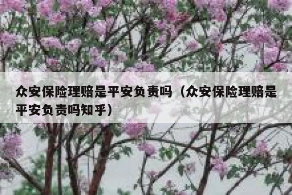 众安保险理赔是平安负责吗（众安保险理赔是平安负责吗知乎） 第1张