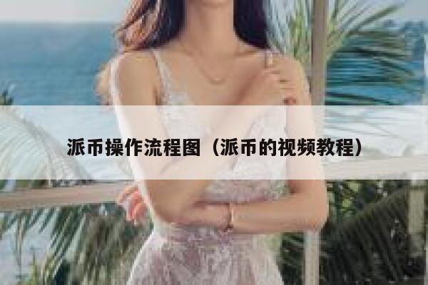 派币操作流程图(派币的视频教程) 第1张 派币操作流程图(派币的视频教程) 第1张