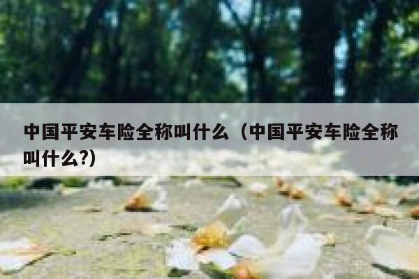 中国平安车险全称叫什么(中国平安车险全称叫什么?) 第1张 中国平安车险全称叫什么(中国平安车险全称叫什么?) 第1张