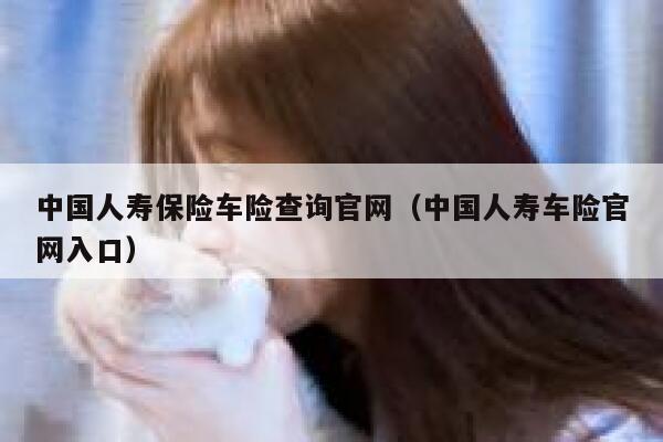 中国人寿保险车险查询官网（中国人寿车险官网入口） 第1张