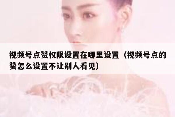 视频号点赞权限设置在哪里设置（视频号点的赞怎么设置不让别人看见） 第1张