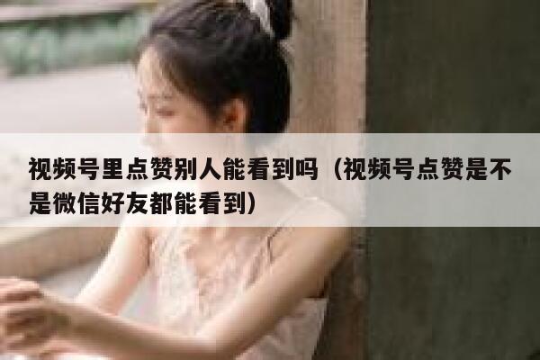 视频号里点赞别人能看到吗（视频号点赞是不是微信好友都能看到） 第1张