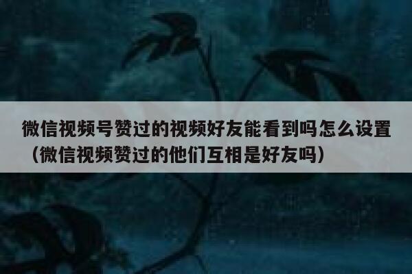 微信视频号赞过的视频好友能看到吗怎么设置(微信视频赞过的他们互相是好友吗) 第1张 微信视频号赞过的视频好友能看到吗怎么设置(微信视频赞过的他们互相是好友吗) 第1张
