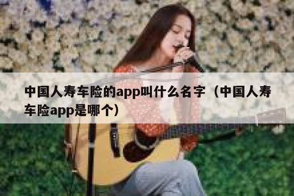 中国人寿车险的app叫什么名字（中国人寿车险app是哪个） 第1张