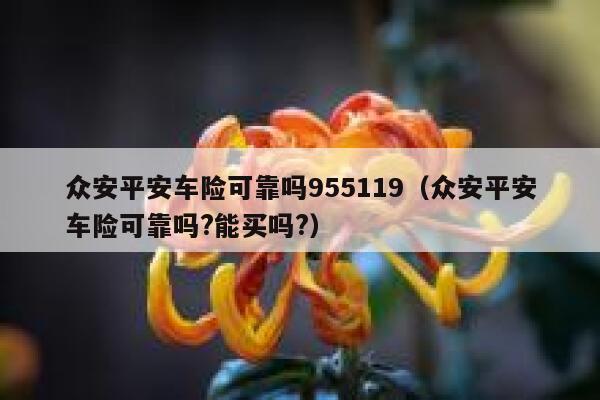 众安平安车险可靠吗955119（众安平安车险可靠吗?能买吗?） 第1张