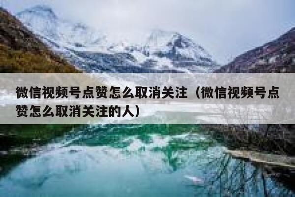 微信视频号点赞怎么取消关注(微信视频号点赞怎么取消关注的人) 第1张 微信视频号点赞怎么取消关注(微信视频号点赞怎么取消关注的人) 第1张