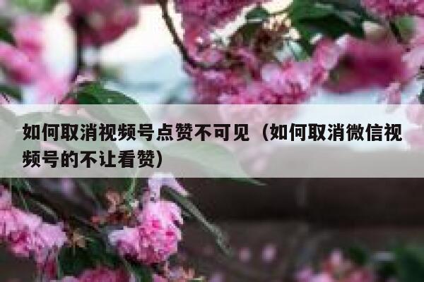 如何取消视频号点赞不可见（如何取消微信视频号的不让看赞） 第1张