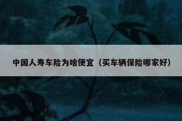 中国人寿车险为啥便宜(买车辆保险哪家好) 第1张 中国人寿车险为啥便宜(买车辆保险哪家好) 第1张