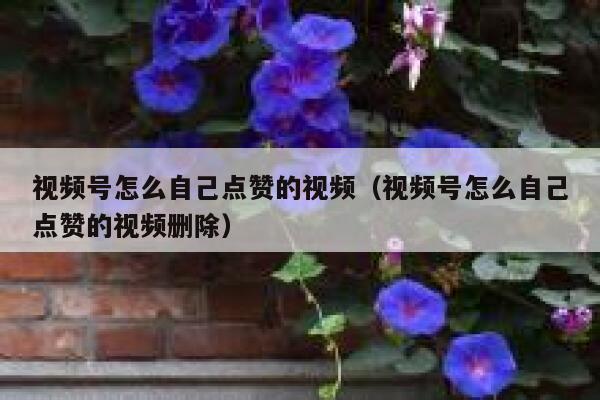 视频号怎么自己点赞的视频（视频号怎么自己点赞的视频删除） 第1张