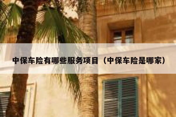中保车险有哪些服务项目（中保车险是哪家） 第1张