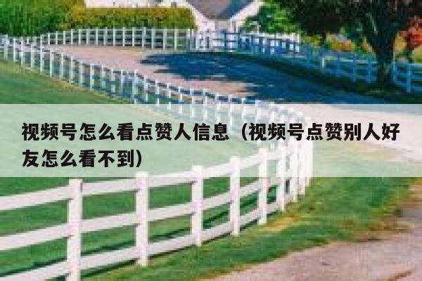 视频号怎么看点赞人信息(视频号点赞别人好友怎么看不到) 第1张 视频号怎么看点赞人信息(视频号点赞别人好友怎么看不到) 第1张