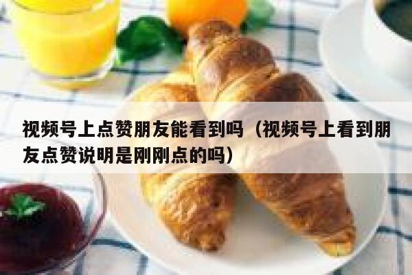 视频号上点赞朋友能看到吗（视频号上看到朋友点赞说明是刚刚点的吗） 第1张