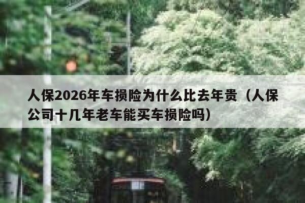 人保2026年车损险为什么比去年贵（人保公司十几年老车能买车损险吗） 第1张