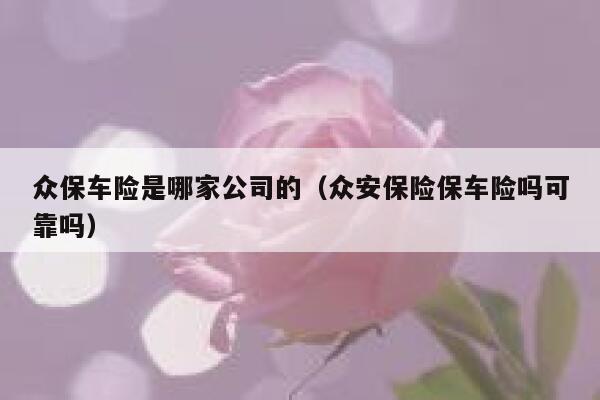众保车险是哪家公司的（众安保险保车险吗可靠吗） 第1张