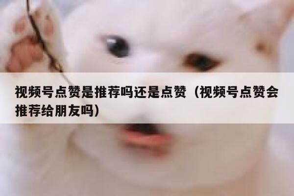 视频号点赞是推荐吗还是点赞（视频号点赞会推荐给朋友吗） 第1张
