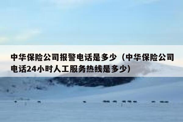 中华保险公司报警电话是多少(中华保险公司电话24小时人工服务热线是多少) 第1张 中华保险公司报警电话是多少(中华保险公司电话24小时人工服务热线是多少) 第1张
