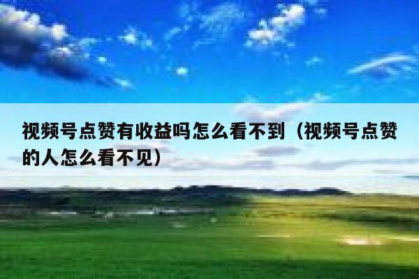 视频号点赞有收益吗怎么看不到(视频号点赞的人怎么看不见) 第1张 视频号点赞有收益吗怎么看不到(视频号点赞的人怎么看不见) 第1张