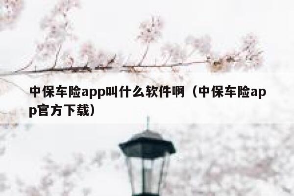 中保车险app叫什么软件啊(中保车险app官方下载) 第1张 中保车险app叫什么软件啊(中保车险app官方下载) 第1张
