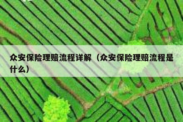 众安保险理赔流程详解(众安保险理赔流程是什么) 第1张 众安保险理赔流程详解(众安保险理赔流程是什么) 第1张