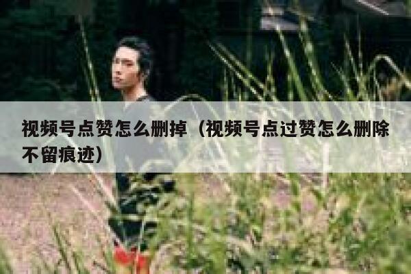 视频号点赞怎么删掉（视频号点过赞怎么删除不留痕迹） 第1张