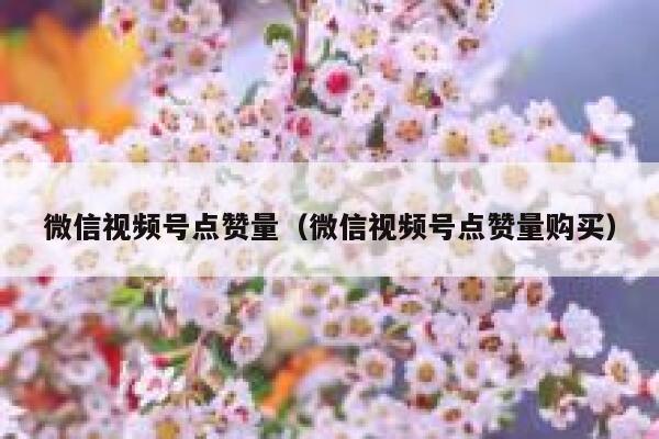 微信视频号点赞量(微信视频号点赞量购买) 第1张 微信视频号点赞量(微信视频号点赞量购买) 第1张