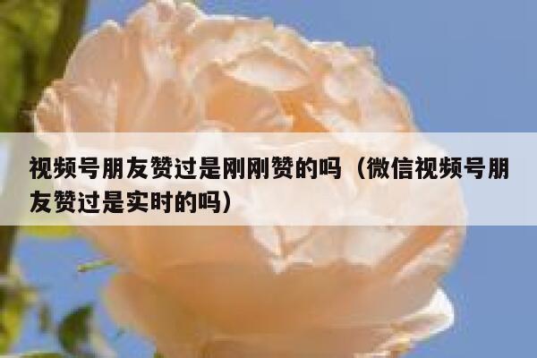 视频号朋友赞过是刚刚赞的吗（微信视频号朋友赞过是实时的吗） 第1张